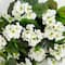 29" UV Resistant Artificial Geranium Hanging Plants, 2ct.